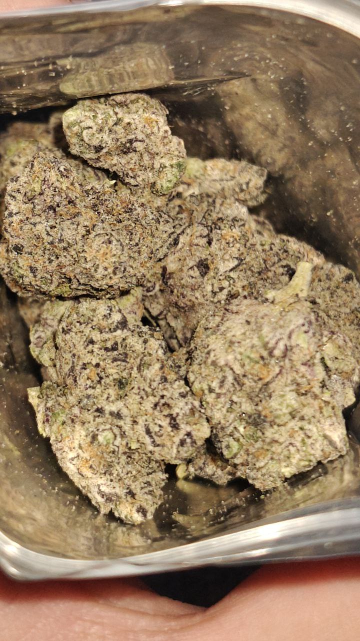 Black trufflez media 2
