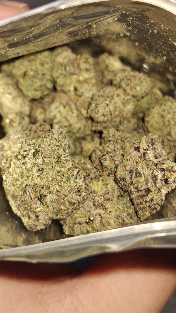 Black trufflez media 3