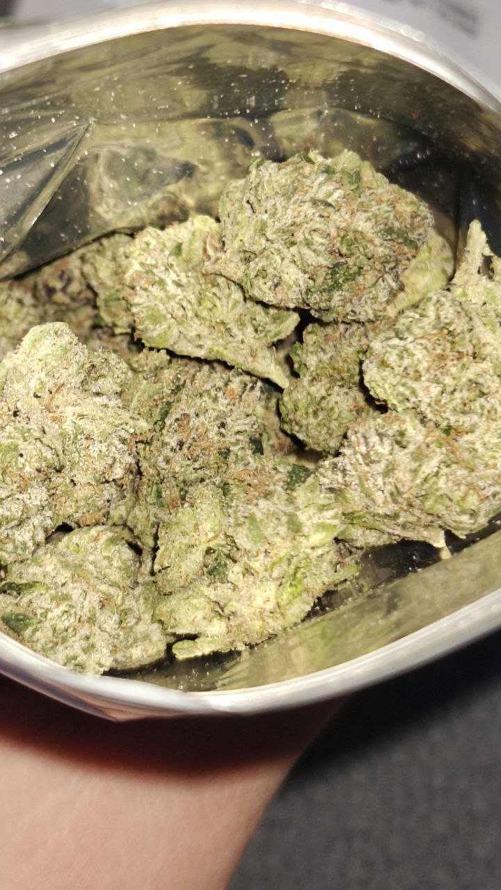 Black trufflez media 4