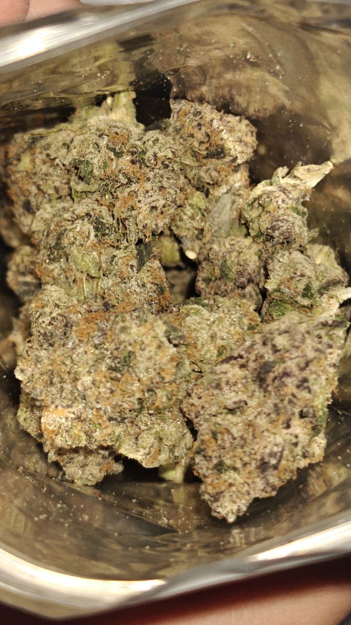 Black trufflez media 5