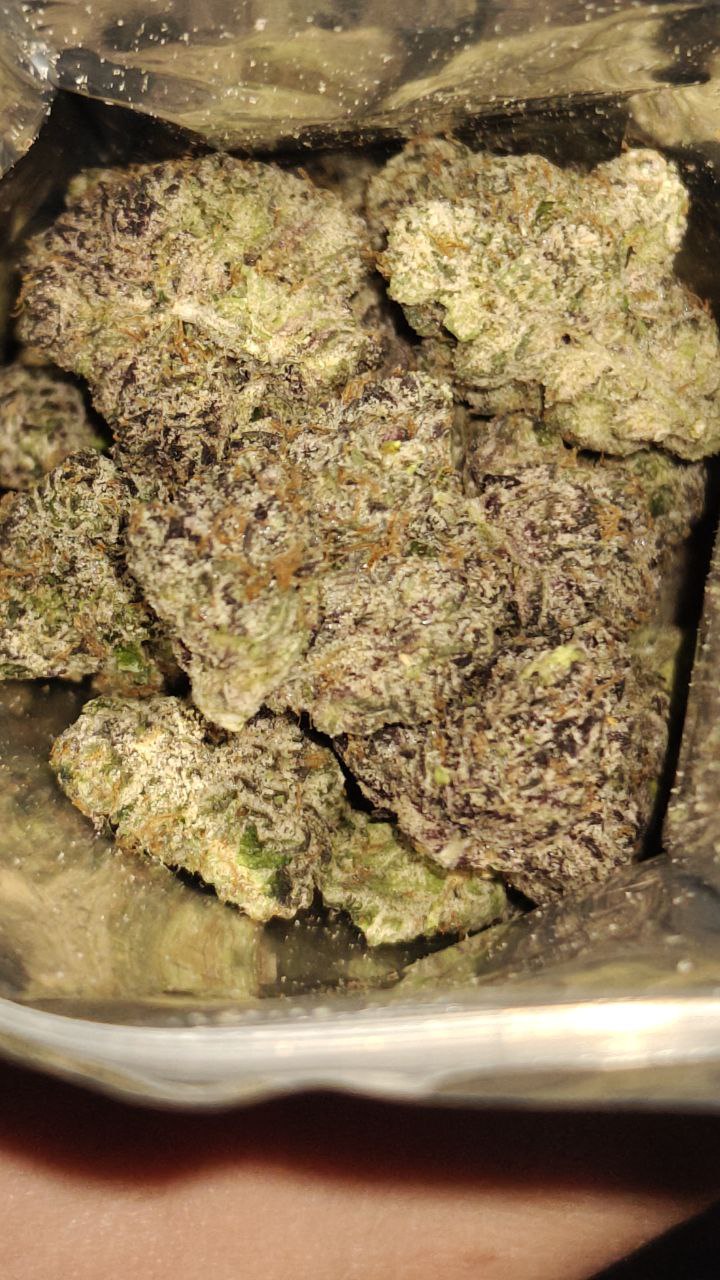 Black trufflez media 6