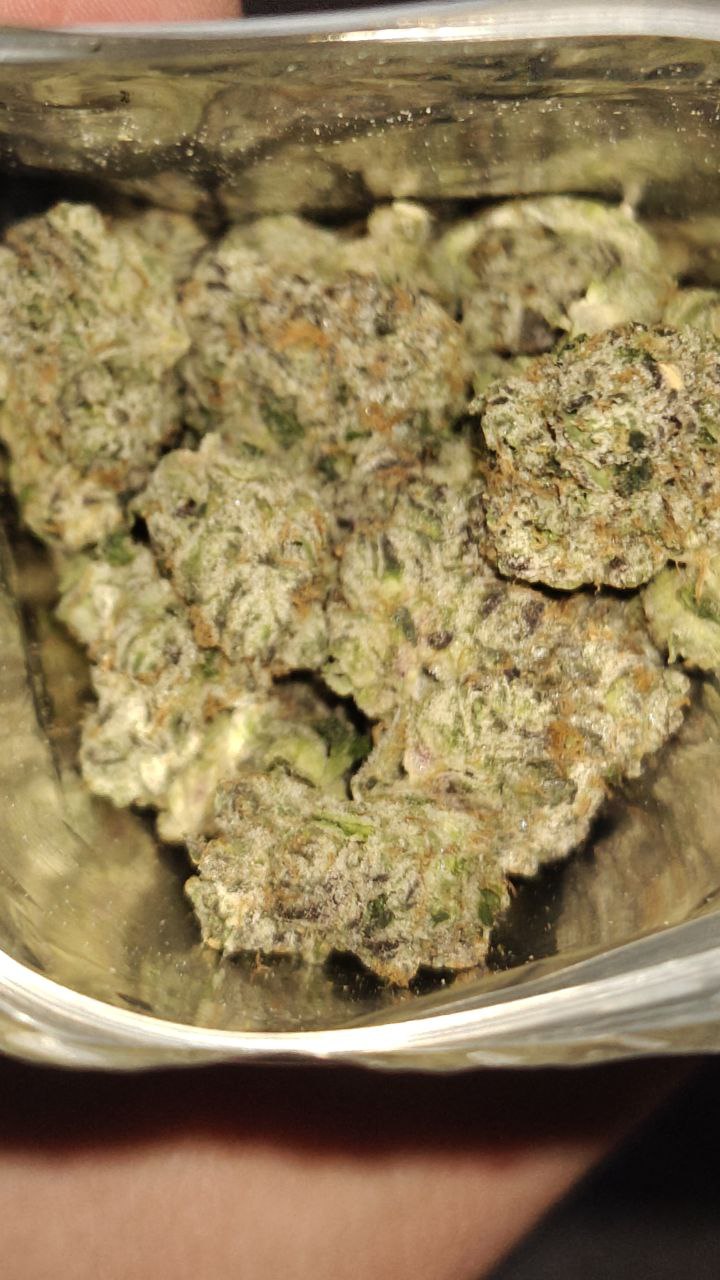 Black trufflez media 7
