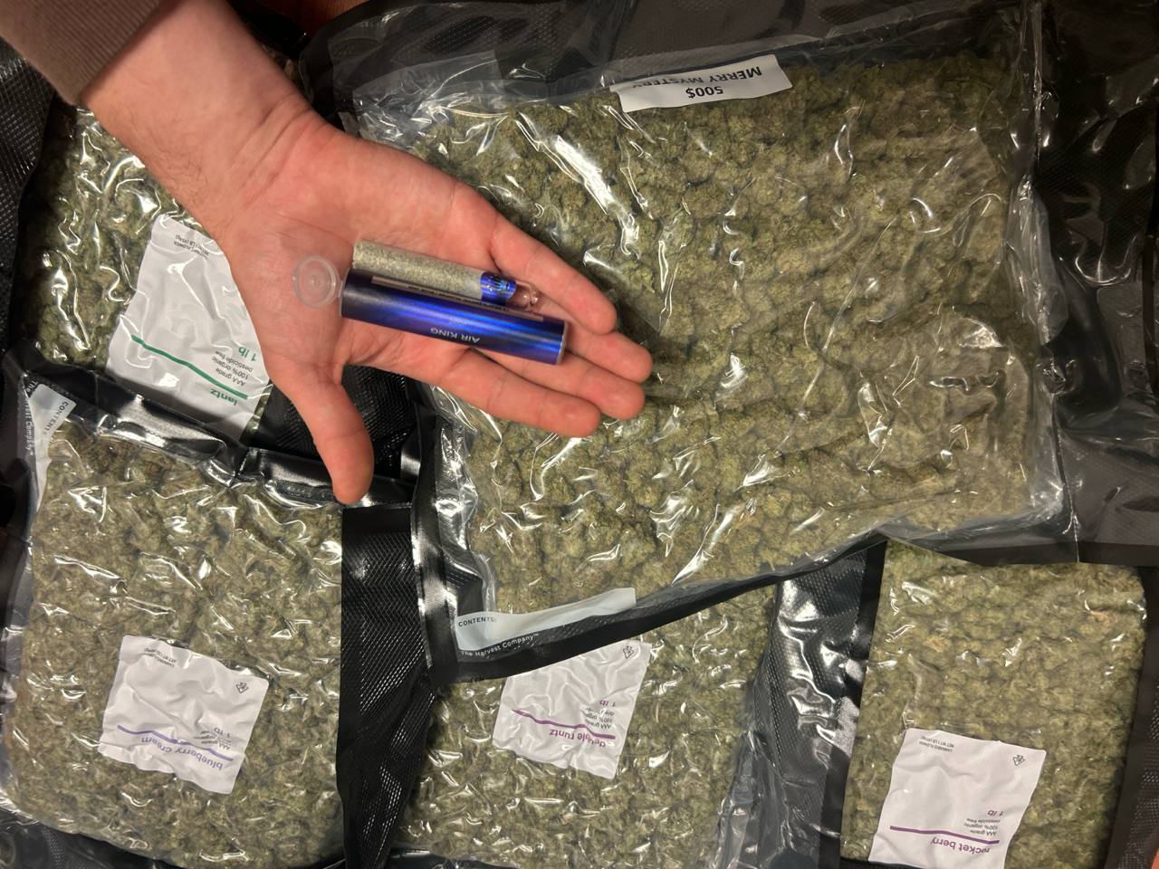 Working man’s light deps are an infinite money glitch,,,, merry mistery looks very nice for price,, and this blue jam pre roll is super loud, cant wait to try