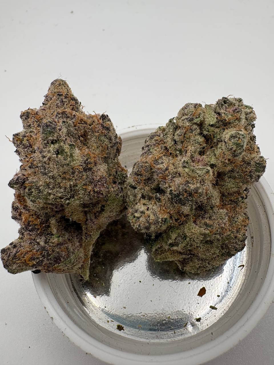 Tropic thunder and Chimera. Got a qp of each. I feel so spoiled