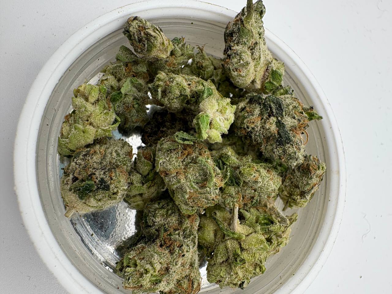 Og kush & lcg smalls. Og kush smells like food or a stinky farm or something not really much to write home about, haven’t smoked it yet looks good tho. média 2