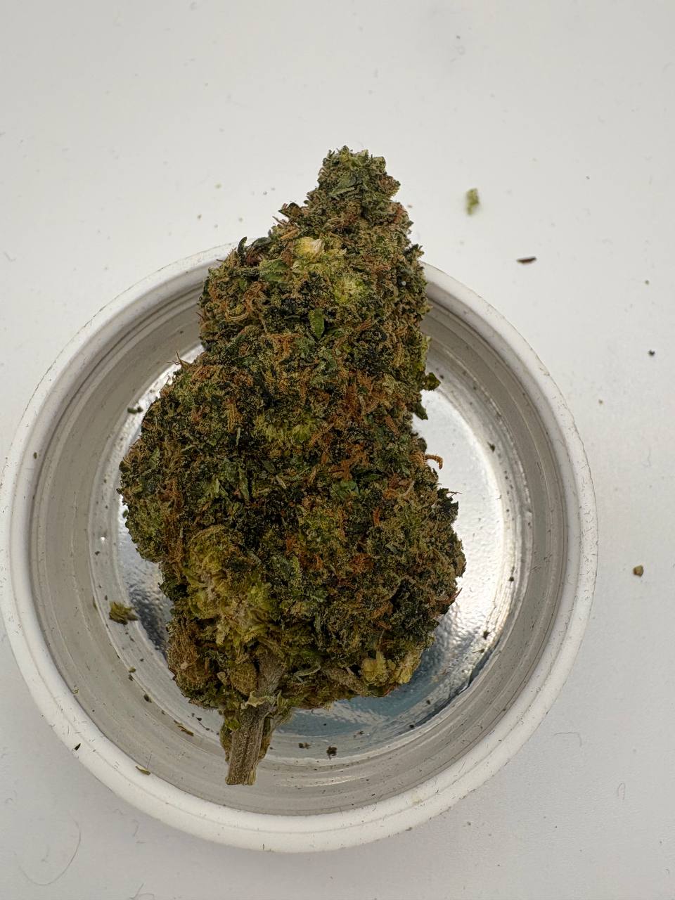 Moby dick. This shit was like 100/p on sale lol