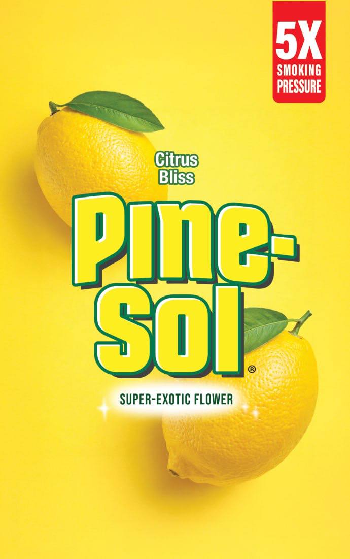 Premium Exotic | Citrus Bliss Pinesol