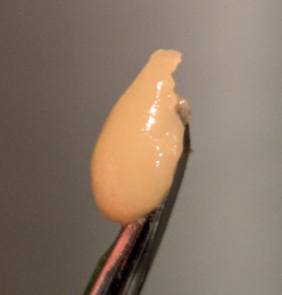 MAD RIVER MELTS HASH ROSIN - AC Exclusive 90u  - NEW PACKAGING! MAJOR UPGRADES! média 5