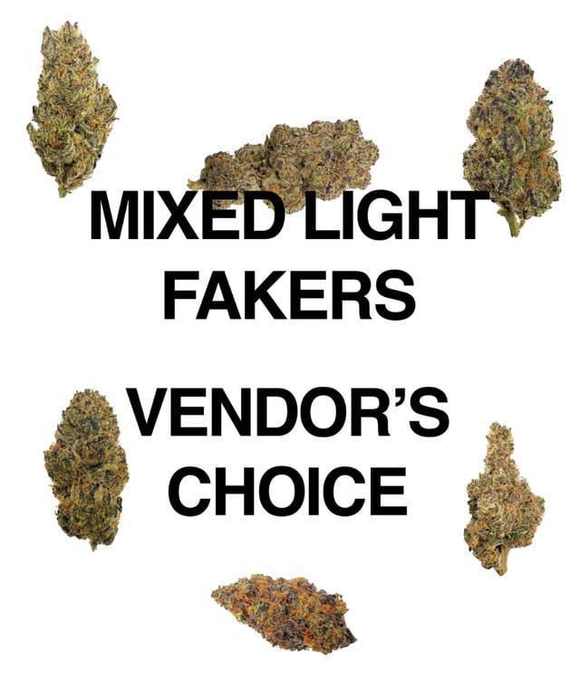 🛍️ Mixed Light Fakers | Gary Payton Z