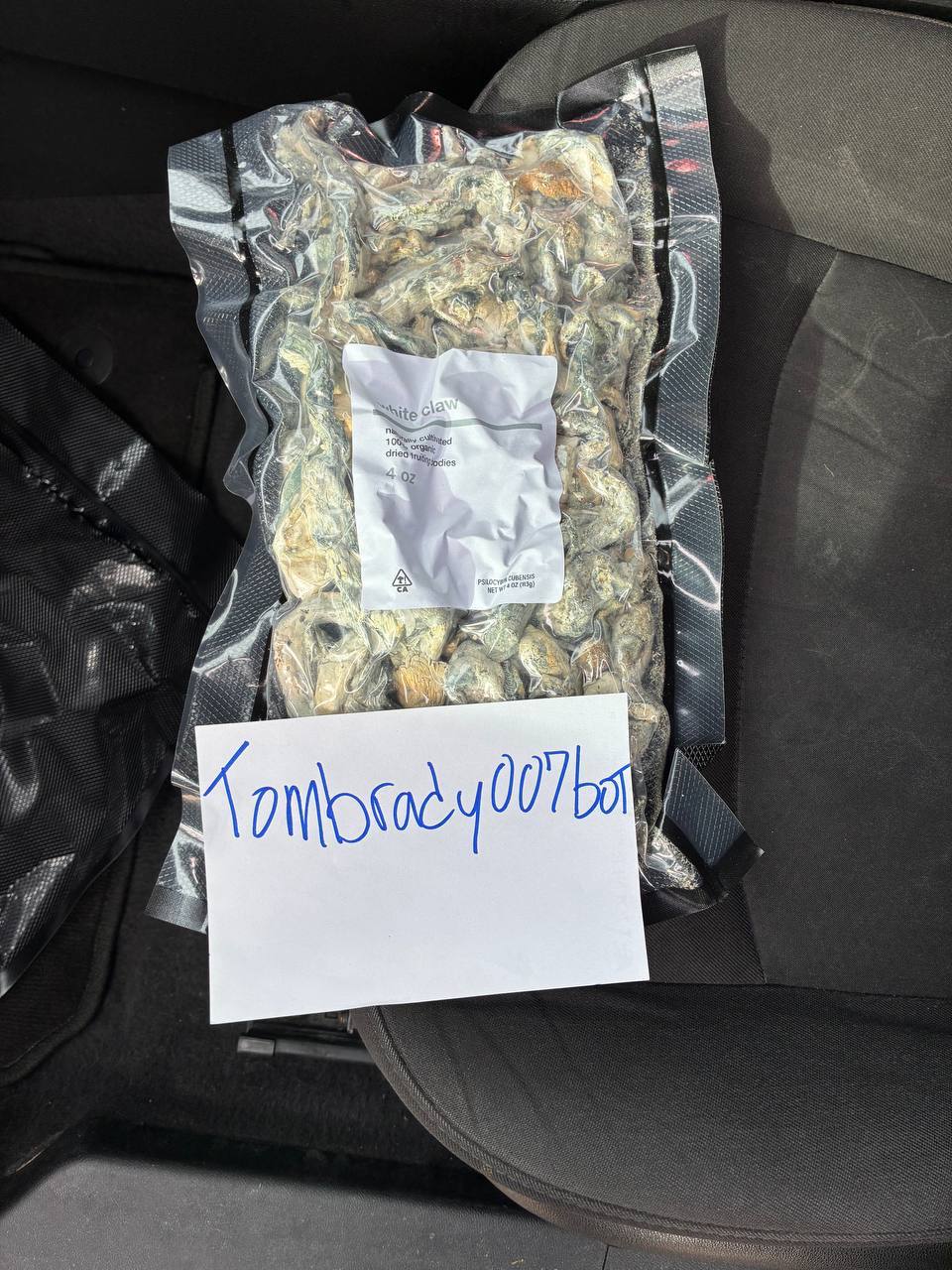Shrooms Touchdown 03/17/2026