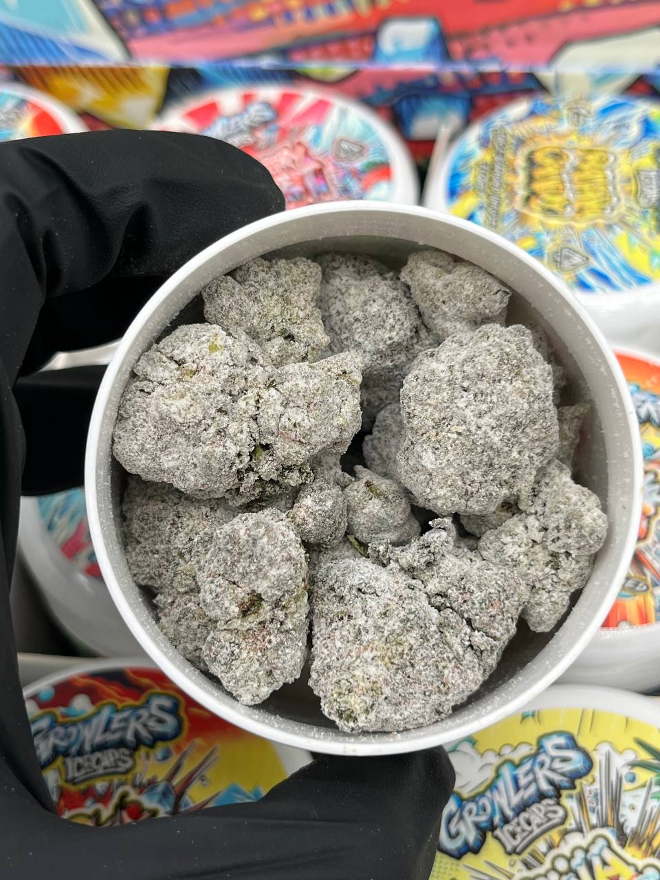 Growlers Icecaps - Authentic media 2