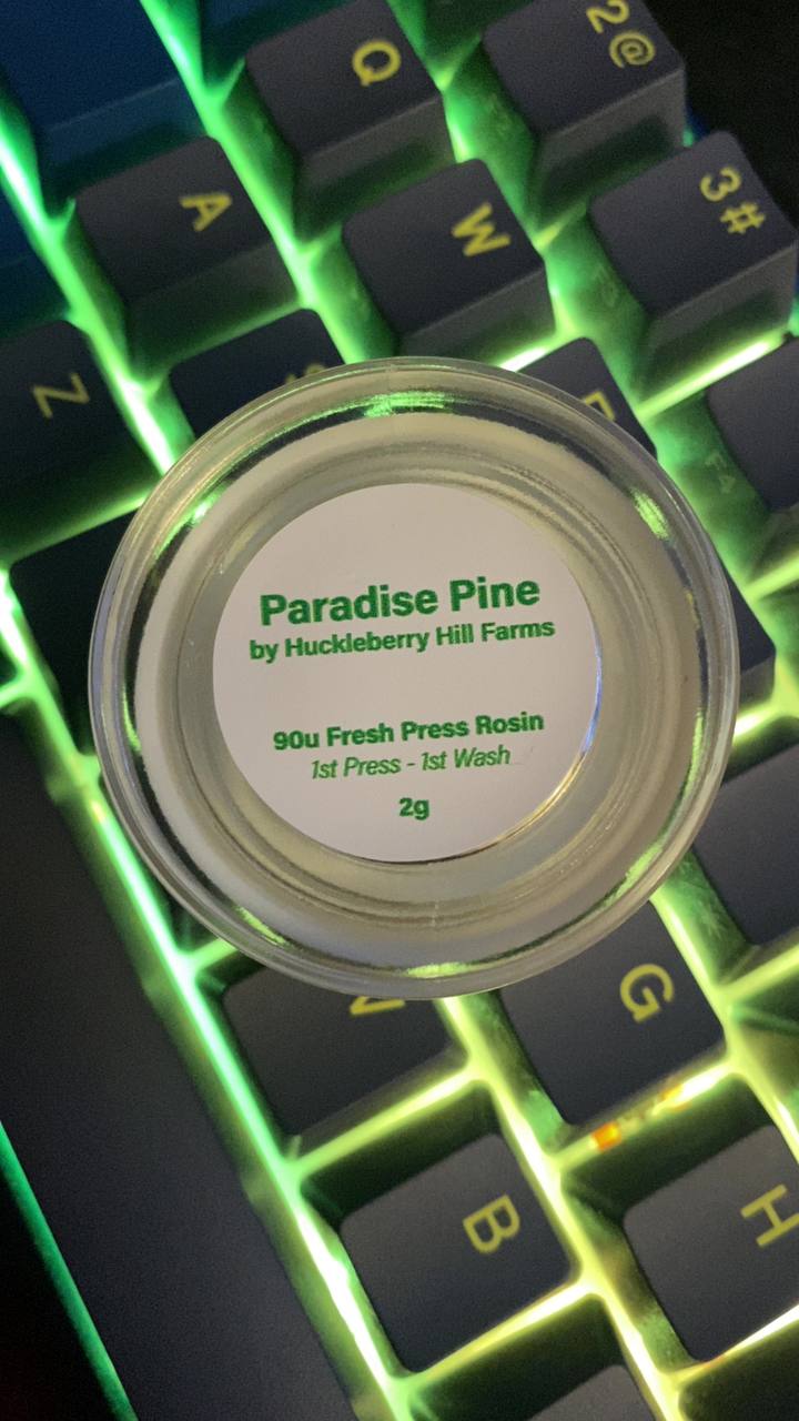 Paradise pine