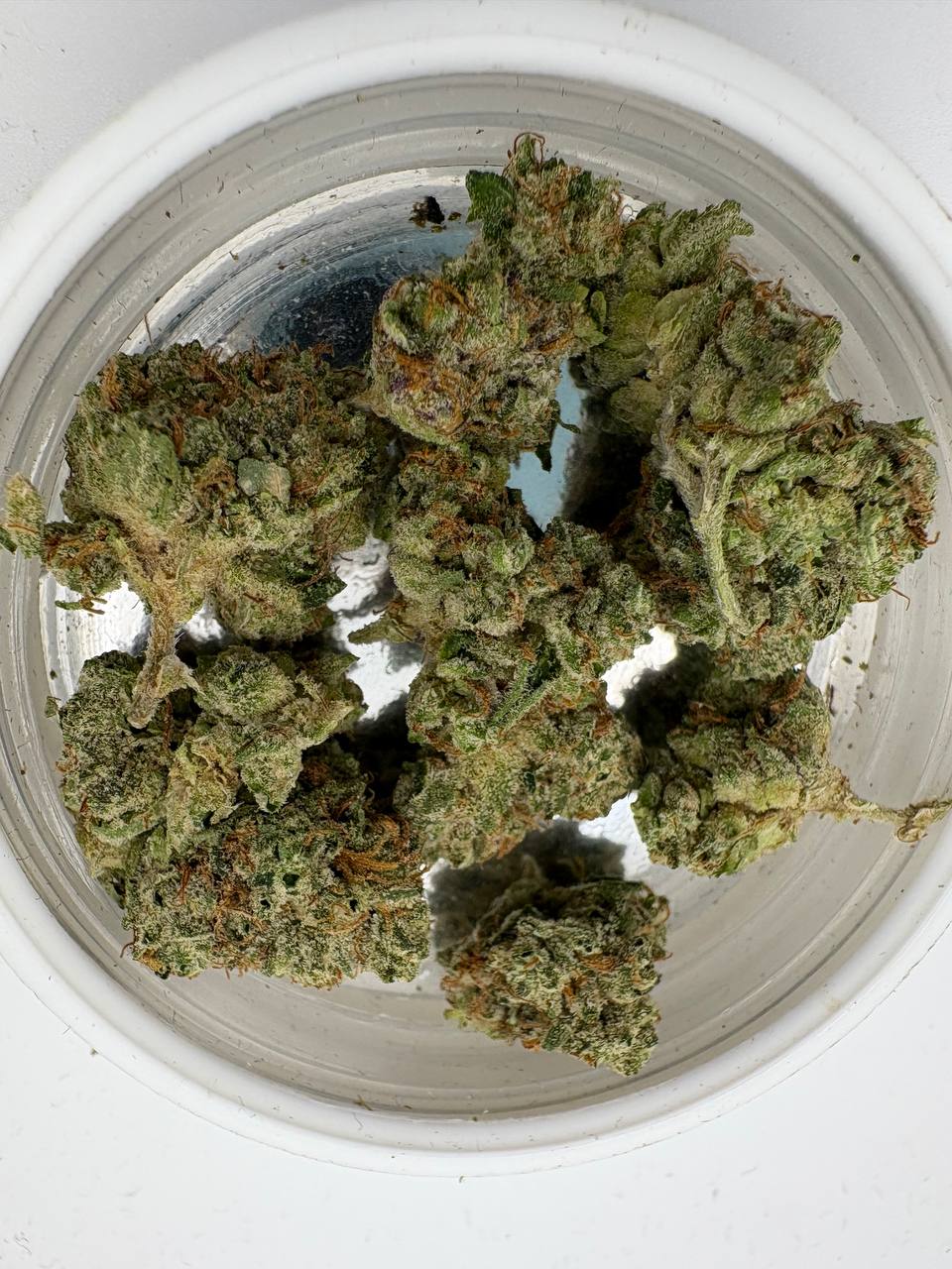 Og kush & lcg smalls. Og kush smells like food or a stinky farm or something not really much to write home about, haven’t smoked it yet looks good tho.