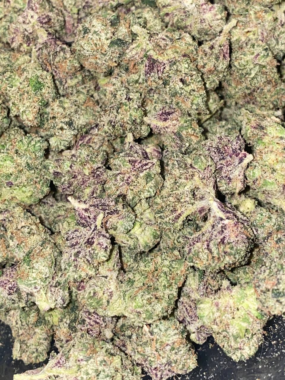 Blue Jam Exotic smalls / Mochi Exotic